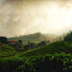 Mystical Kerala Journey